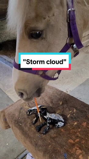 couperthecleverhorse on TikTok