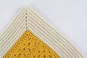 Camel Stitch Blanket Border Tutorial - Winding Road Crochet