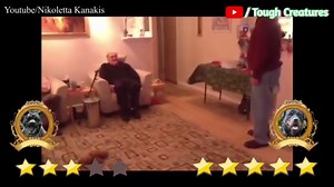 Pitbull VS Rottweiler Real Fight 2021   Rottweiler VS Pitbull Real Fight   Tough Creatures