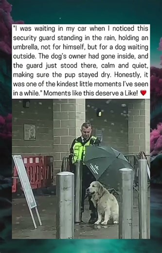 A Guard’s Kindness: Shielding a Golden Friend from the Rain 🌧️🐕