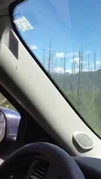 Driving the Camas Road, Glacier National Park, Montana