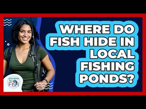 Where Do Fish Hide In Local Fishing Ponds?