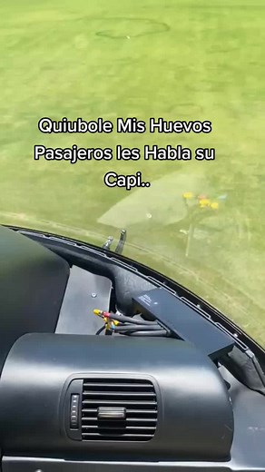 Volando Huevo Meme - Les Habla su Copiloto de Huevos Carton