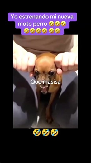 #viral #foryou #siganme