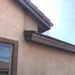 Services - Arizona's Best Pigeon Control and Removal