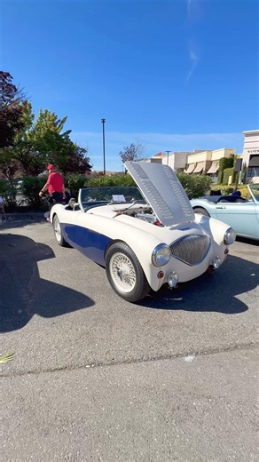 🇬🇧🏁 Austin-Healey 100 — A brilliant masterpiece of classic British design
