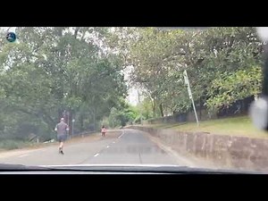 Inside Parramatta Park NSW | Sydney