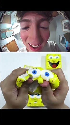 “WAIT SPONGEBOB NO-” (Ring Doorbell Reaction)