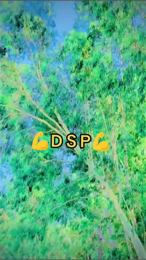💯💯💯🦅🦅🦅DSP💯💯🦅🦅☠️☠️☠️💀🥰💪💪💯🦅🦅🦅#jgffwrgj6yrdfjiurhvuigcjuy3deeghg