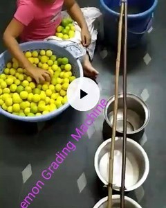 Who needs robotic grading machines when we have shuddh desi inventiveness at play :-) #farmizen #jugaad | Farmizen