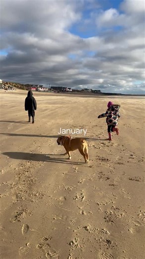 24 reactions · 4 comments | 2025 Highlights ✨ Without doubt, my...