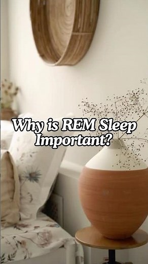 Why is REM sleep so important? 😴 #neuropsychology