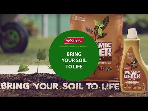 Yates Dynamic Lifter (TVC): Soil Improver & Plant Fertiliser - Bring Your Soil To Life!