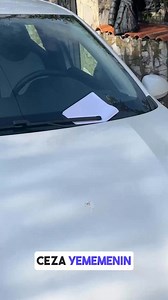 9.3K views · 29 reactions |  Ever wished to explore the world without internet? Introducing our FREE 3D maps! ✨ ♻️ | World, Local Maps | Facebook