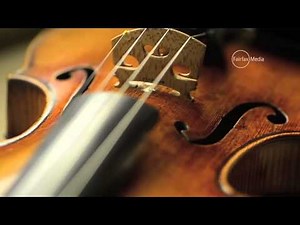 $1.35 million Joseph Guarneri violin