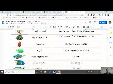 Coral Reef Abiotic Gizmo Walkthrough