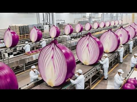 The Amazing Process of Turning RAW Onions into READY Powder