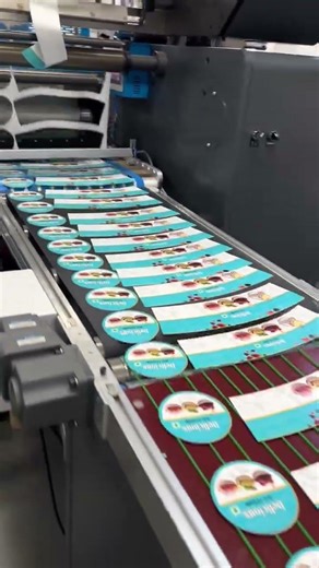 IML Slitter Rewinder Machine Label Die Cutting Machine