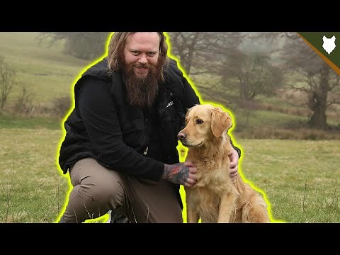 How To Turn AWFUL Recall Into PERFECT Recall Training With Your Dog!