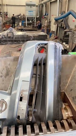 Dog High Power Jump on wall