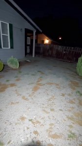 Very close encounter in a woman’s back yard! 2 aliens recorded close up! #UFO #ufos #uaps #uap #Aliens #Alien #OVNI #breakingnews Join group watch more: Mysterious Aliens & UFO Disclosure ✔ | Mystery History II