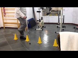 Fisioterapia para Idosos