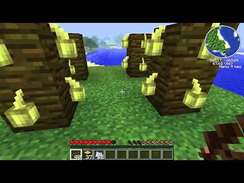 Plantar Cacao en Minecraft - Tutorial