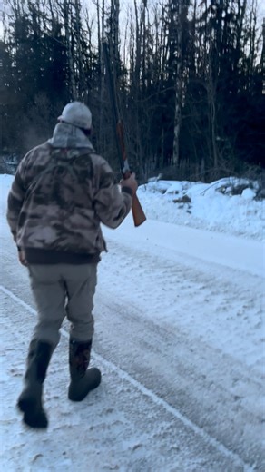 #grousehunting #ruffy #ruffgrouse #hunting #goodtimes | Jordan Dorozio