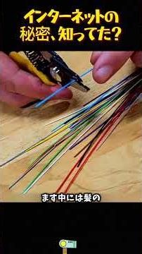 インターネットの秘密、知ってた？#光ファイバー #インターネット #通信技術 #海底ケーブル #科学 #物理学 #豆知識 #雑学 #テクノロジー #情報通信