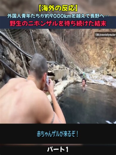 How to See Nagano Snow Monkeys: Snow Monkey Park Trek Guide