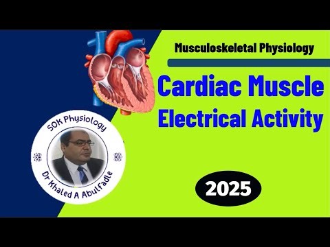 Cardiac Muscle Electrical Activity Physiology (12-2025) by Dr Khaled A Abulfadle