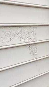 Removing deck stain from vinyl siding