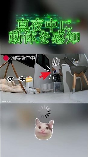 見守りロボットの「動体検知」機能を体験 #見守りロボット #ペットカメラのある暮らし #enabot #ROLAMini #whatthepet #セキュリティ対策