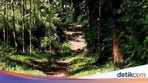 Kronologi Lengkap KKN Desa Penari di Banyuwangi yang Berujung Tragedi