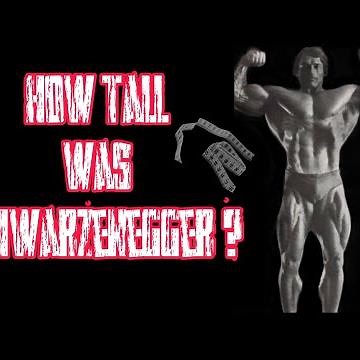 "Unveiling Arnold Schwarzenegger's Height: Fact vs. Fiction