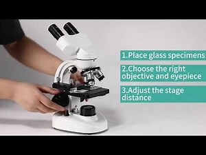 Compound Binocular Microscope.