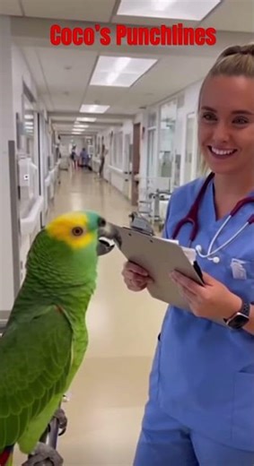 Coco needs oxygen #funny #parrot