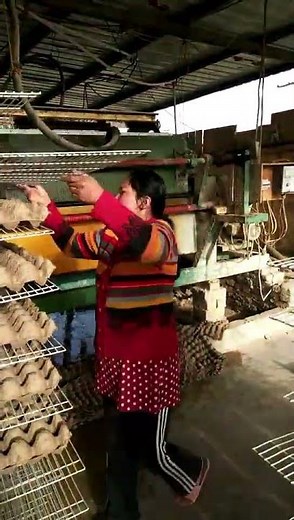 Turning Waste Paper into Profit! ♻️ Professional Egg Carton Manufacturing Process