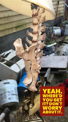 🕯️💀 ED GEIN BONE LAMP SALE – Wisconsin-Style Creepy Craftsmanship! 💀🕯️ You’ve heard of farm-to-table… now meet grave-to-table lighting. Stosh’s got limited-edition Ed Gein-inspired bone lamps, built from ethically sourced materials (don’t worry—no actual graves were harmed). Each one looks straight out of a horror movie set, perfect for: • Haunted-house décor • Year-round weirdos who like their ambiance unsettling • Anyone who thinks “Pottery Barn” should’ve gone darker 📍Local pickup in Wis