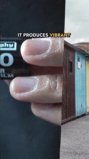 Unlock Vibrant Shots on a Budget: Lomo 400 vs. Ilford HP5+