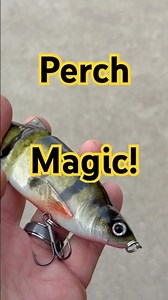 Perch Pattern Looks Real!