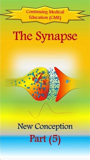 Neural Conduction in Synapses (5) (Innovated)