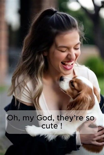 These dogs have her completely obsessed 😂 #adorable #cutepets