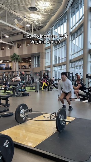 Let me preface this by saying these two things arent the only variables in increasing your vertical jump. Ideally, to increase your vertical jump, an individual should be doing all of the following: 1. Maximal Jumps Often 2. Get Strong Vertically 3. Land From High Boxes 4. Loaded Jumps 5. Depth Drop to Vertical Jumps However, for individuals who don’t have too much weightroom experience, getting strong vertically, performing loaded jumps, and jumping maximally often are the most important variab