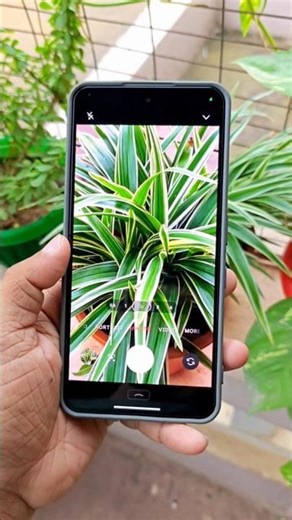 Nothing Phone (3a) pro Camera Test 🔥🔥🔥#smartphone #nothing #nothingphone3apro #phonkmusic #phonk