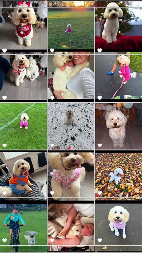 Toni 💖 (@tonileigh64)’s videos with original sound - Toni 💖