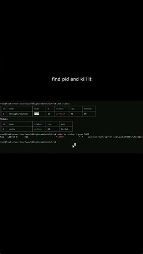 find and kill a process on custom port