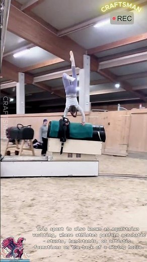 Professional Equestrian Vaulting Training