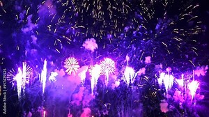 Purple fireworks against dark night sky, creating a vibrant display of light and color.