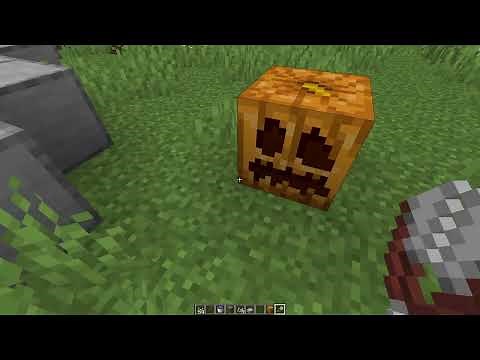 How to Grow Pumpkins in Minecraft